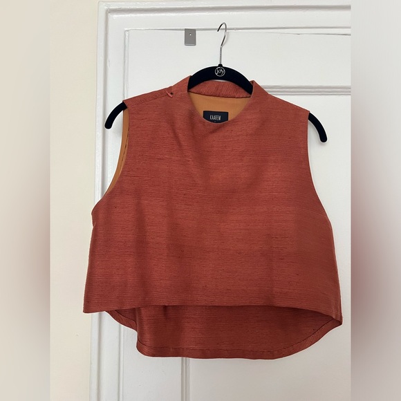 Kaarem Wind Chime Raised Collar Cropped Silk Top - Terra Cotta - Small - Picture 3 of 6